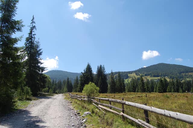 Access road to the guesthouse