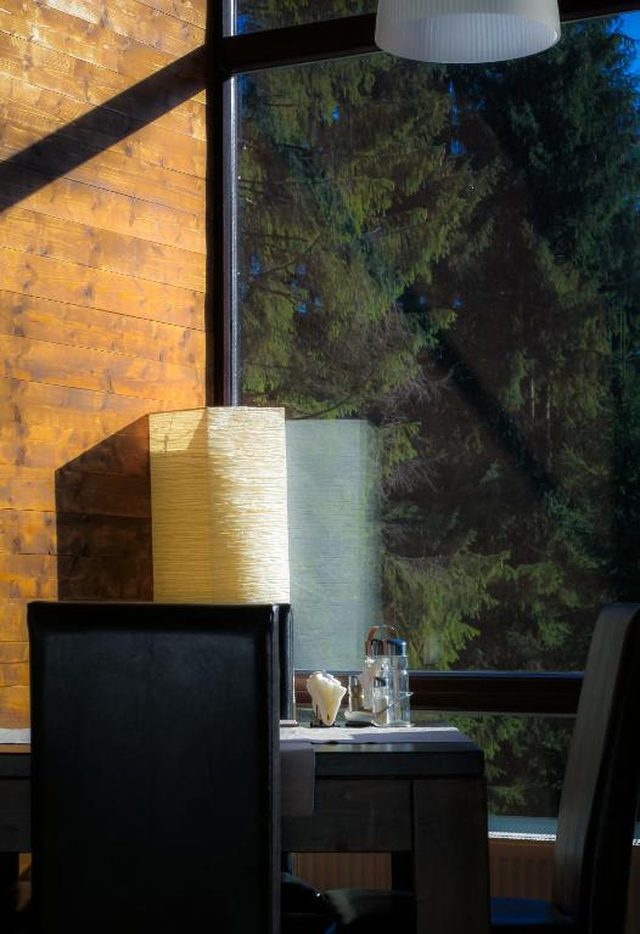 Seating area, view towards the forest